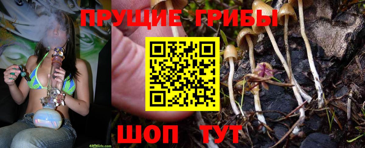 Грязи  Псилоцибиновые грибы Psilocybine cubensis  Вход с VPN 